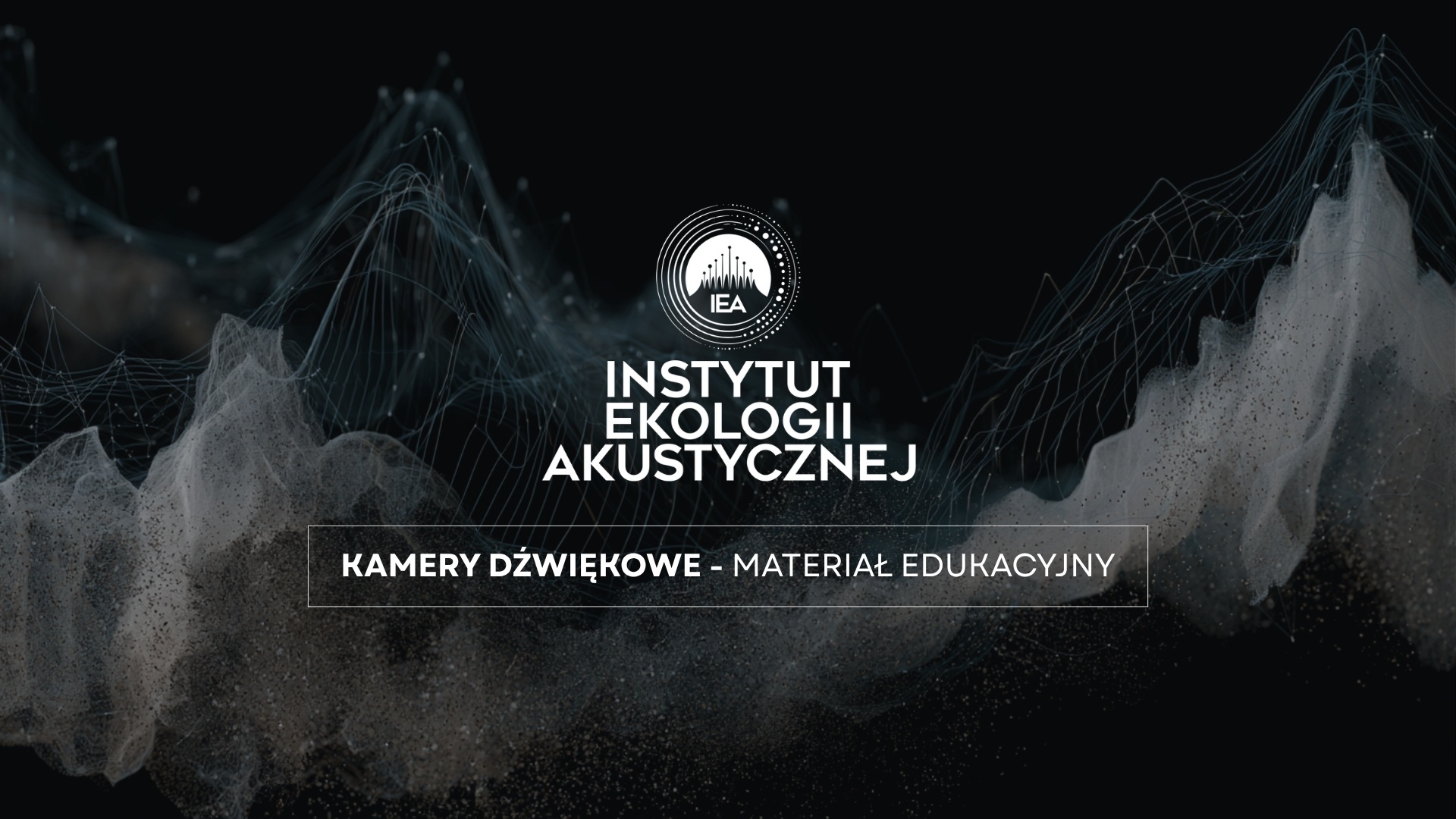 Kamery dźwiękowe – jak to robią inni