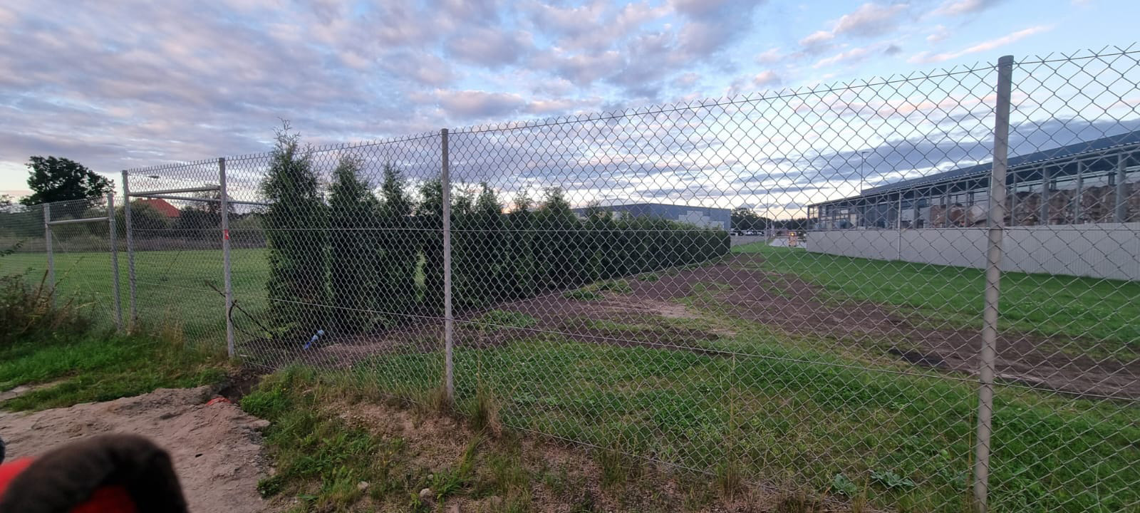 Kilka drzewek zamiast prawdziwej ochrony. Tak wygląda „zielona bariera" Panattoni w Lisim Ogonie 4 zielona bariera 2