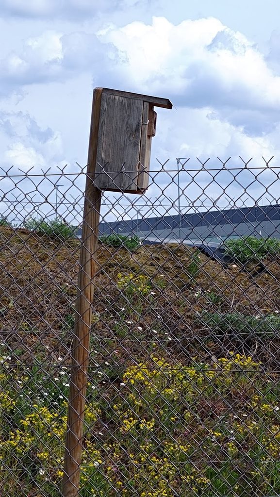 panattoni budki 2